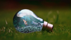 Light bulb - nature and tech